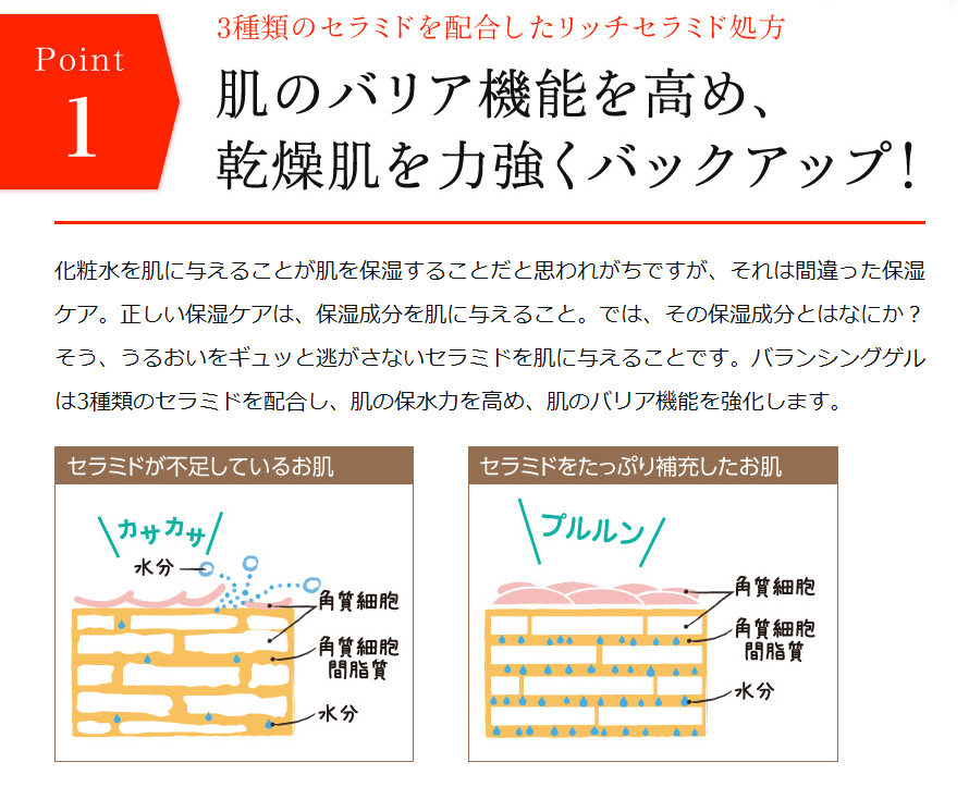 保湿成分の成分「セラミド」